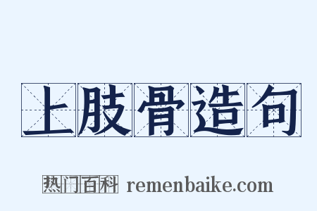 上肢骨造句是什么意思的图片